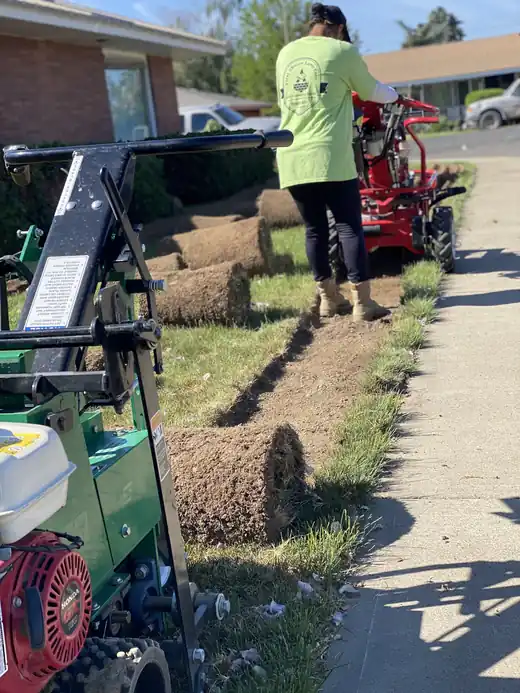 A First Choice crew member unrolling sod along a sidewalk beside a sod cutter