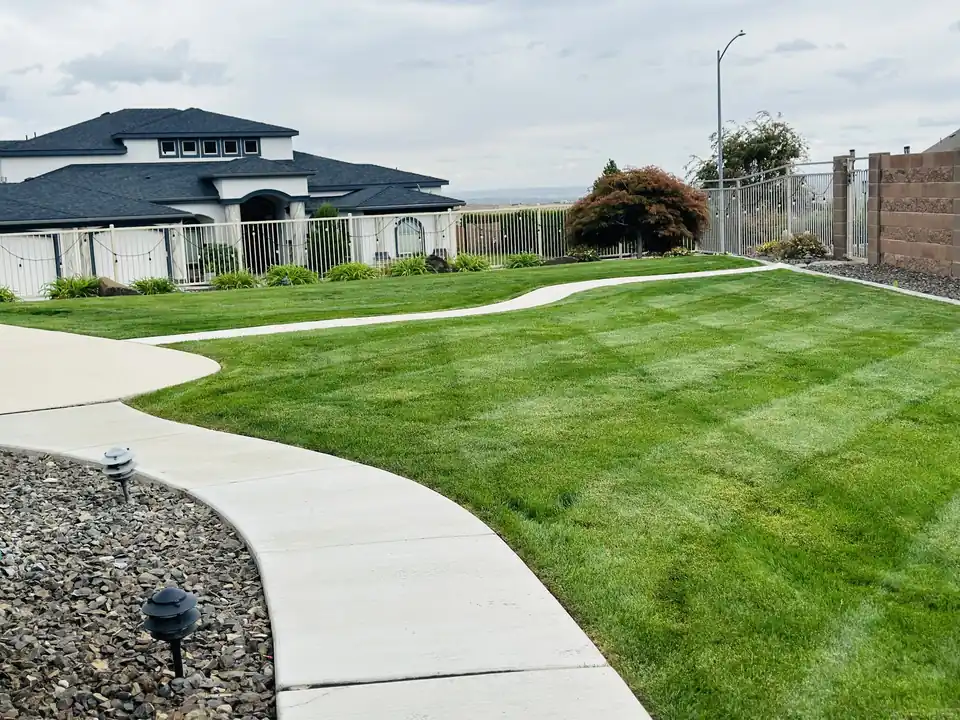 A striped front lawn beside a curved concrete walk and a rock bed with path lights
