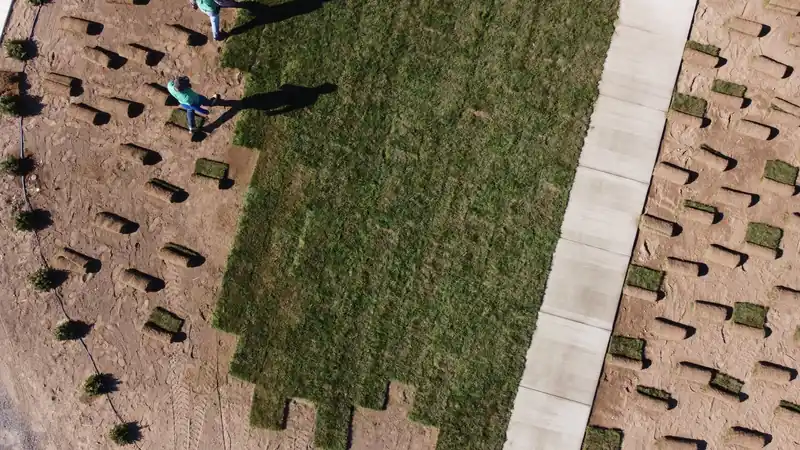 Drone view of First Choice laying fresh sod on a graded new-build lot beside a sidewalk