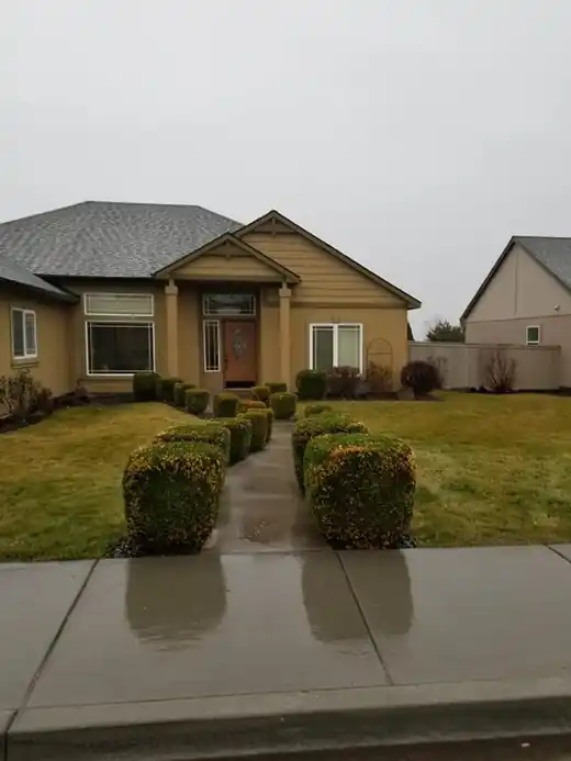 Trimmed shrubs along a wet walkway