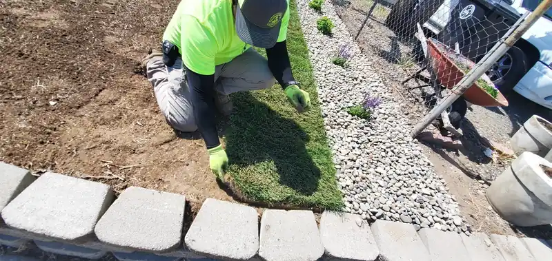 A First Choice crewman pressing fresh sod against paver edging in a front yard