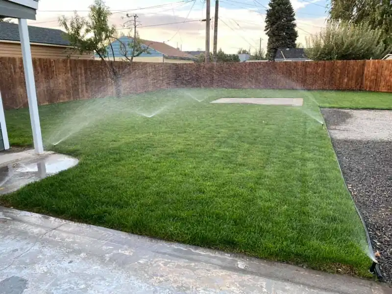Sprinklers running on a new backyard lawn