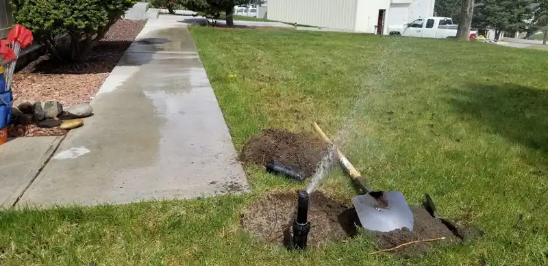 A sprinkler head being repaired in a dug-out spot of lawn beside the sidewalk